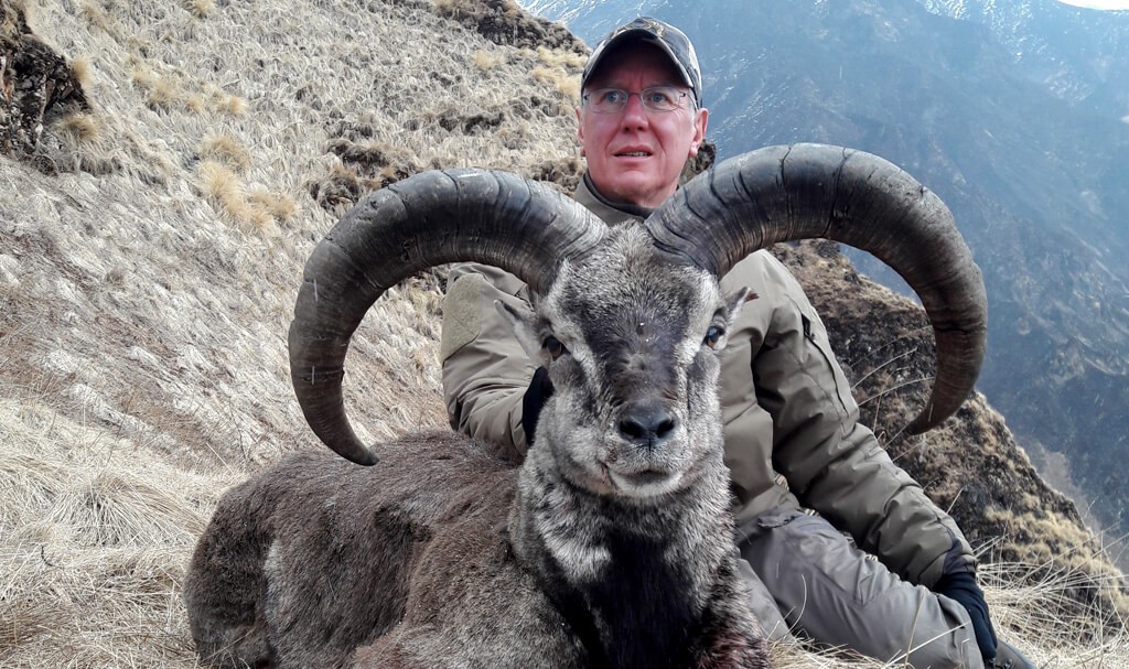 Blue Sheep Hunting in Nepal; Trophy Hunting- 2025/2026 Booking Open