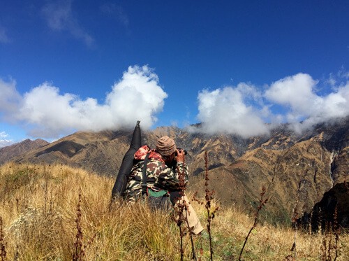Combo Hunting- Blue Sheep and Himalayan Tahr Hunting in Nepal