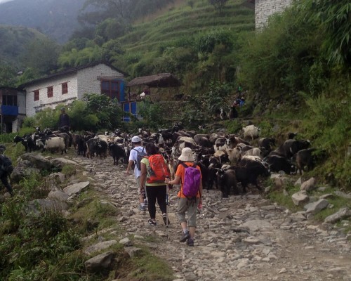 Annapurna Base Camp Trek