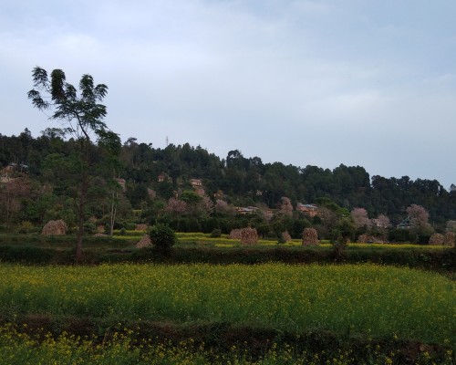 Balthali Village