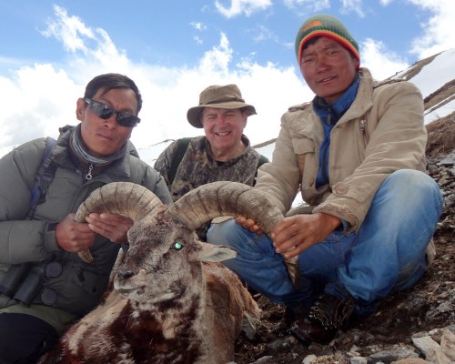 Blue Sheep Hunt Spring Season