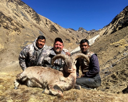 Bluesheep Hunt In Nepal