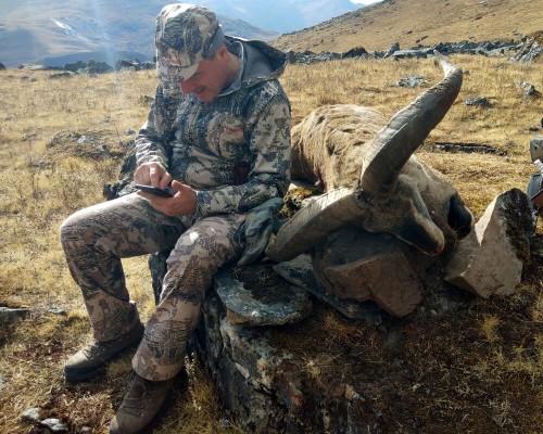 Bluesheep Hunting In Himalayas