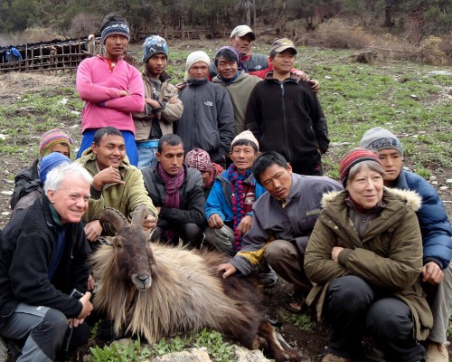 Himalayan Tahr Hunting In Autumn