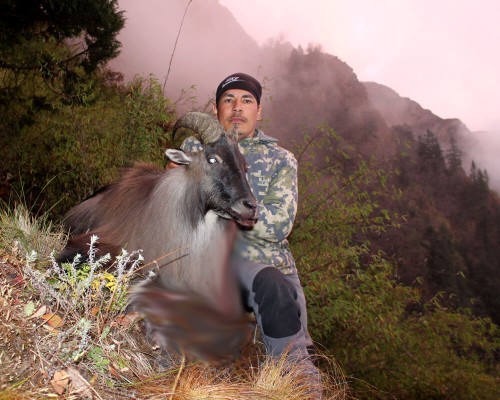 Himalayan Tahr Hunting