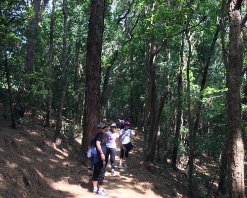 Nagarjun Day Hike