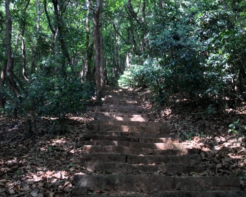 Nagarjun Hiking Trails