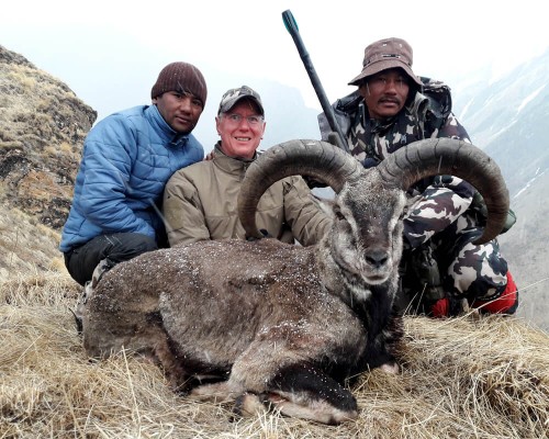 Nepal Blue Sheep Hunting