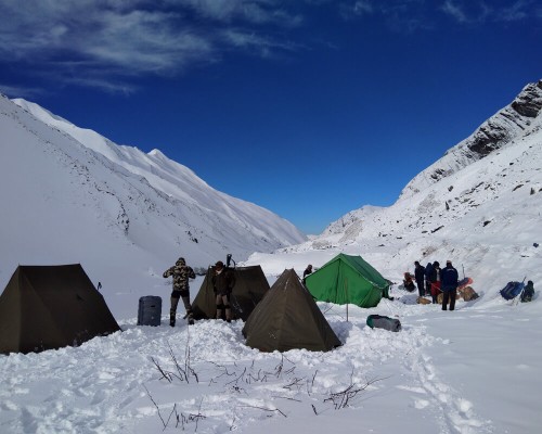 Spring Hunt In Nepal