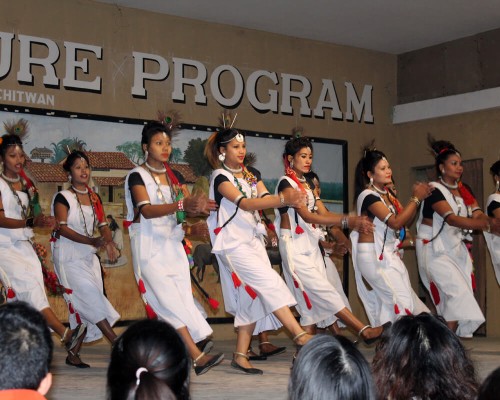 Tharu Culture Program
